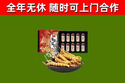 台儿庄区回收冬虫夏草价格