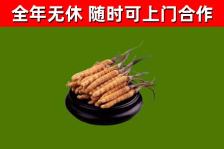 台儿庄区烟酒回收冬虫夏草.jpg